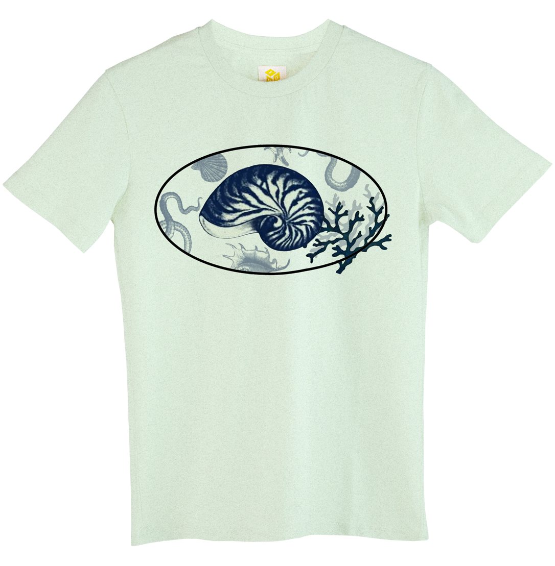 nautilus